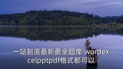 一站到底題庫及答案，一站到底最新最全題庫 wordexcelpptpdf格式都可以