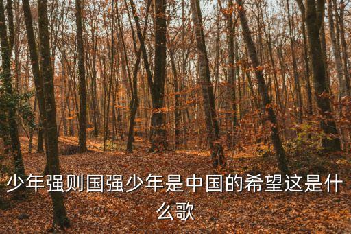 少年中國(guó)強(qiáng)歌詞，有一首歌的歌詞里有少年強(qiáng)中國(guó)強(qiáng)是什么歌啊謝謝了大神幫