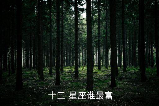  十二 星座誰最富