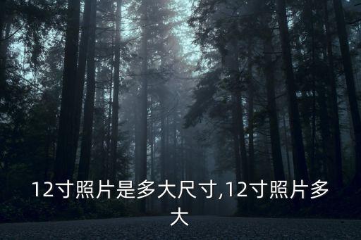 12寸照片是多大尺寸,12寸照片多大
