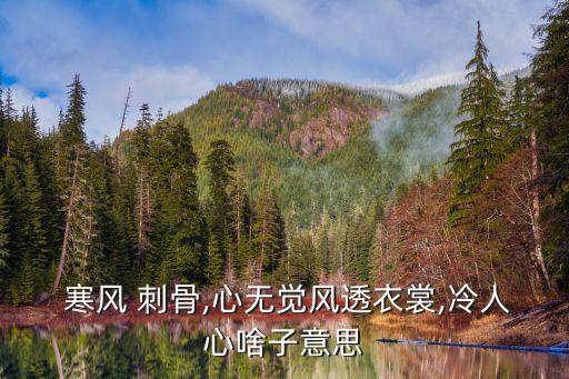  寒風(fēng) 刺骨,心無覺風(fēng)透衣裳,冷人心啥子意思