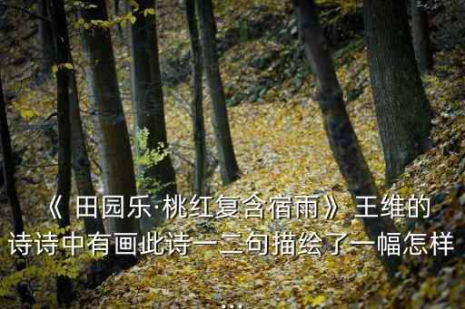 田園樂王維,王維隱居藍(lán)田川隱退詩作背景