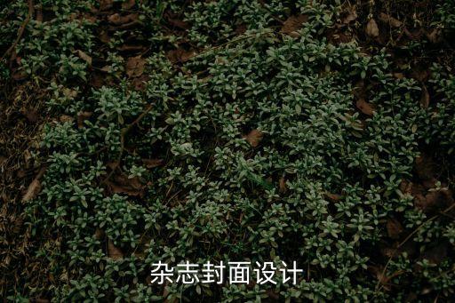 雜志封面設計