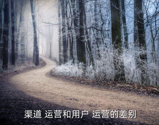  渠道 運營和用戶 運營的差別