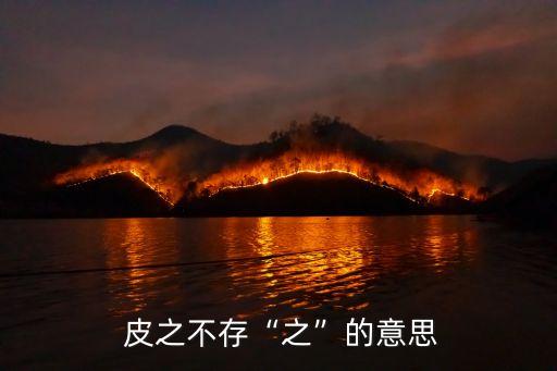  皮之不存“之”的意思