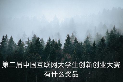 第二屆中國互聯(lián)網(wǎng)大學(xué)生創(chuàng)新創(chuàng)業(yè)大賽有什么獎品