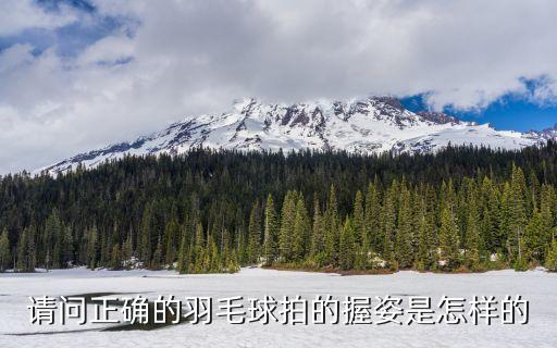 請問正確的羽毛球拍的握姿是怎樣的