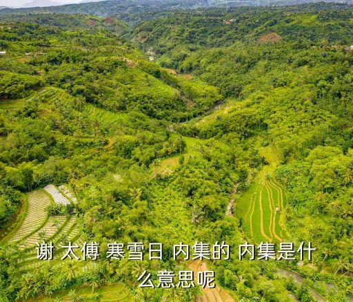 謝太傅寒雪日內集,謝太傅寒雪日內集是于是介詞!
