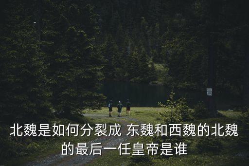 東魏,北魏皇帝是魏孝武皇帝