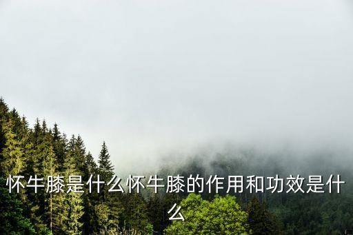 懷牛膝是什么懷牛膝的作用和功效是什么