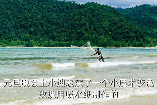 元旦晚會上小迪表演了一個小魔術變色玫瑰用吸水紙制作的