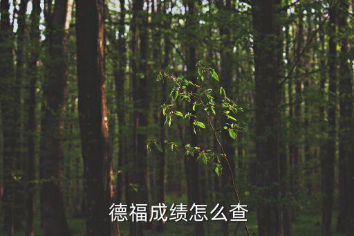  德福成績怎么查