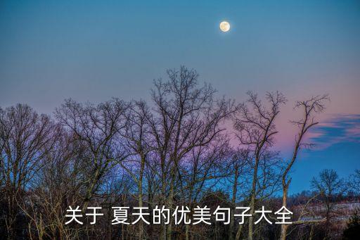夏天好,陽光灑落在地上仿佛進了蒸汽浴