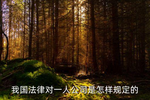 我國法律對一人公司是怎樣規(guī)定的