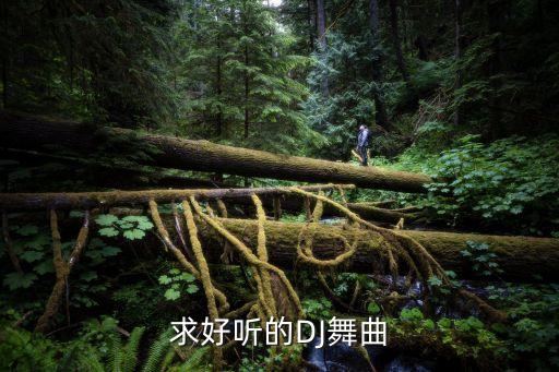 求好聽的DJ舞曲
