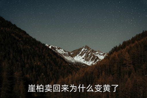 崖柏樹(shù),金鐘柏是柏科植物是國(guó)家一級(jí)保護(hù)野生植物