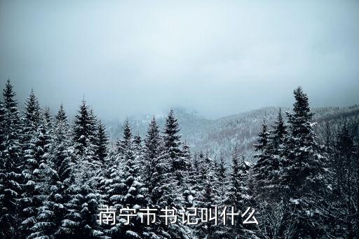 車榮福，南寧市書記叫什么