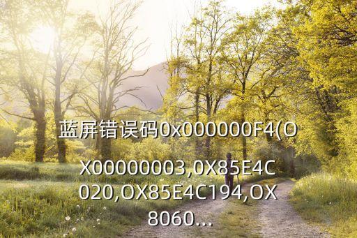 藍屏錯誤碼0x000000F4(OX00000003,0X85E4C020,OX85E4C194,OX 8060...