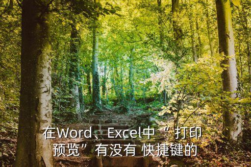 在Word、Excel中“ 打印 預(yù)覽”有沒有 快捷鍵的