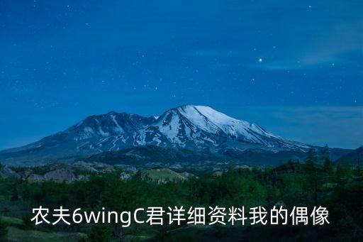 農(nóng)夫6wingC君詳細(xì)資料我的偶像