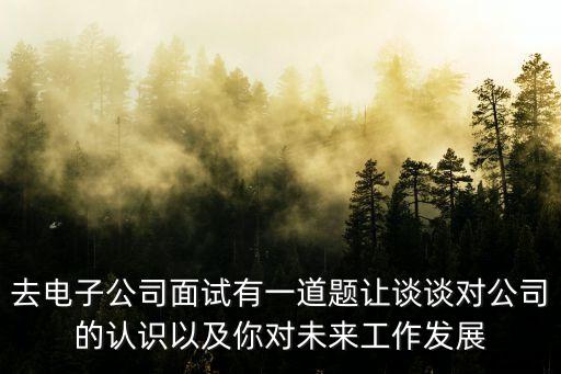 去電子公司面試有一道題讓談談對公司的認識以及你對未來工作發展