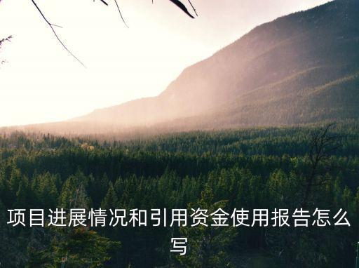 項目進展情況和引用資金使用報告怎么寫