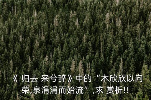歸去來兮辭賞析,日本用動(dòng)詞表示回家樹木欣欣向榮