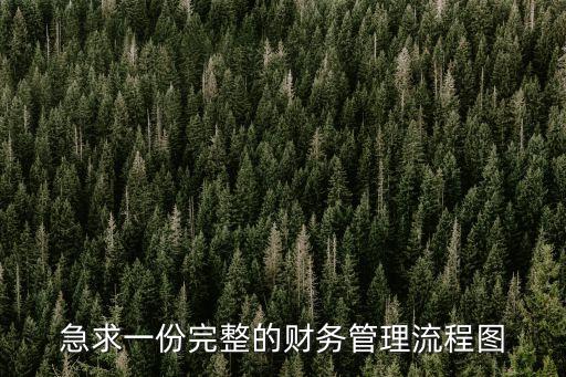 財務流程圖，如何設計一套適合企業的財務流程