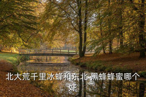 黑蜂椴樹(shù)雪蜜,俄羅斯錫霍特山盛產(chǎn)蜜蜂種類為高加索黑蜂