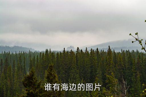 海邊的圖片，關于海邊的圖片海邊的浪漫圖片