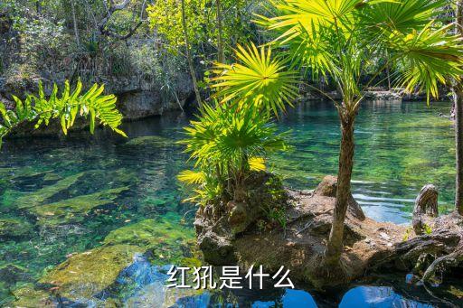 紅犼，紅犼是什么東東啊