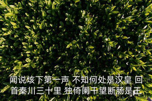 聞說垓下第一聲 不知何處是漢皇 回首秦川三十里 獨倚闌干望斷腸是王