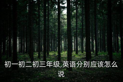 初一初二初三年級,英語分別應該怎么說