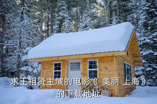 美麗上海,【精選上海灘高清資源免費在線觀看