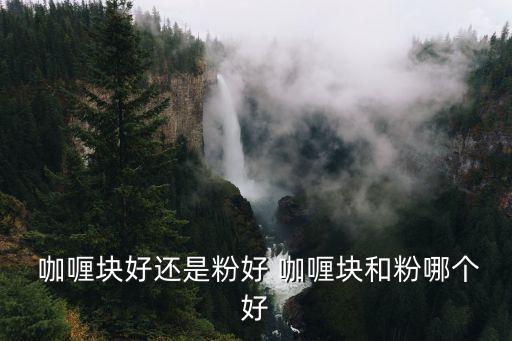 咖喱塊,如何延長剩菜咖喱件保質(zhì)期?可放入冷凍室!
