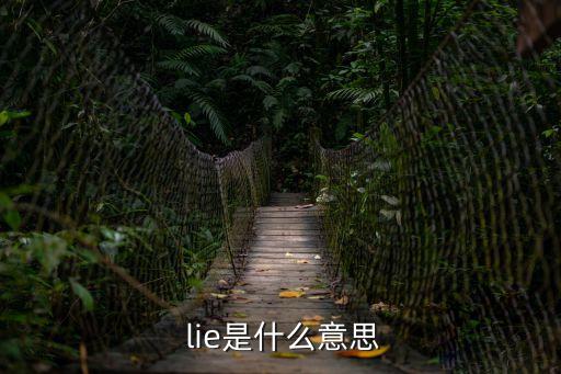  lie是什么意思
