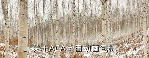 關于ACA全自動面包機