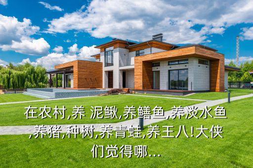 在農(nóng)村,養(yǎng) 泥鰍,養(yǎng)鱔魚,養(yǎng)淡水魚,養(yǎng)豬,種樹,養(yǎng)青蛙,養(yǎng)王八!大俠們覺得哪...