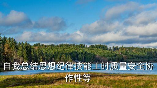 自我總結(jié)思想紀(jì)律技能工時質(zhì)量安全協(xié)作性等