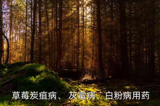  草莓炭疽病、 灰霉病、白粉病用藥