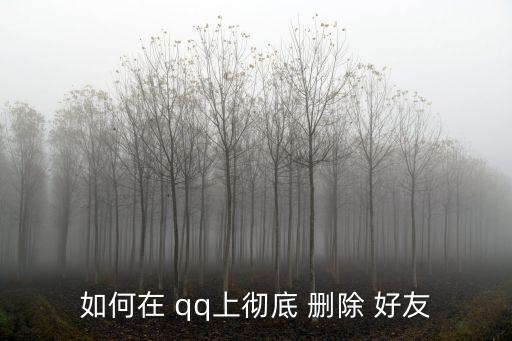 如何在 qq上徹底 刪除 好友