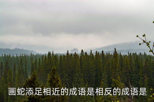  畫蛇添足相近的成語是相反的成語是