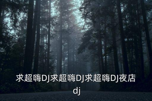 求超嗨DJ求超嗨DJ求超嗨DJ夜店 dj