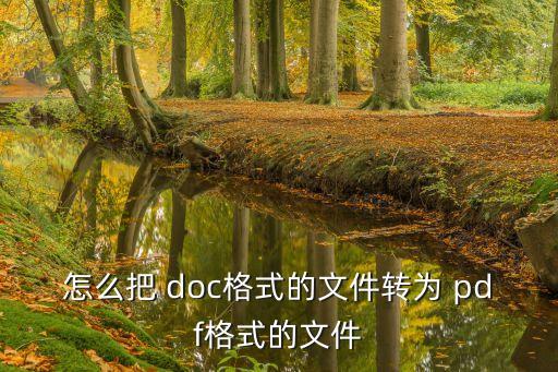 怎么把 doc格式的文件轉(zhuǎn)為 pdf格式的文件
