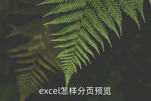 excel怎樣分頁預覽