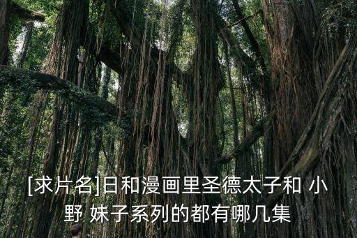 小野妹子,第一季第二句:楊帝怒降國(guó)書(shū)第三句圣牛的一周