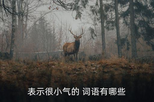 形容摳門的詞語,第二集:我不愛江南,它嬌嫩但是摳門