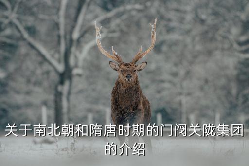 關隴門閥，關西門閥 唐朝時以長孫無忌為首