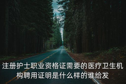 護士聘用證明，考護師聘用證明哪一年的