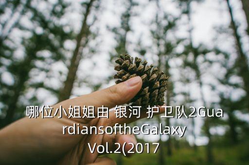 銀河護(hù)衛(wèi)隊(duì)2在線觀看
